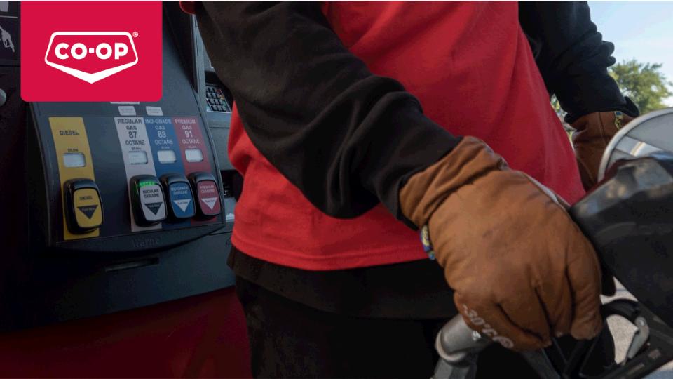 Manitoba Fuel Regulations Swan Valley Coop